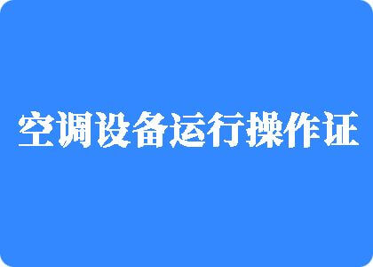 大鸡巴狂操大鸡吧制冷工证